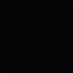 Meet your Posher, Alanis